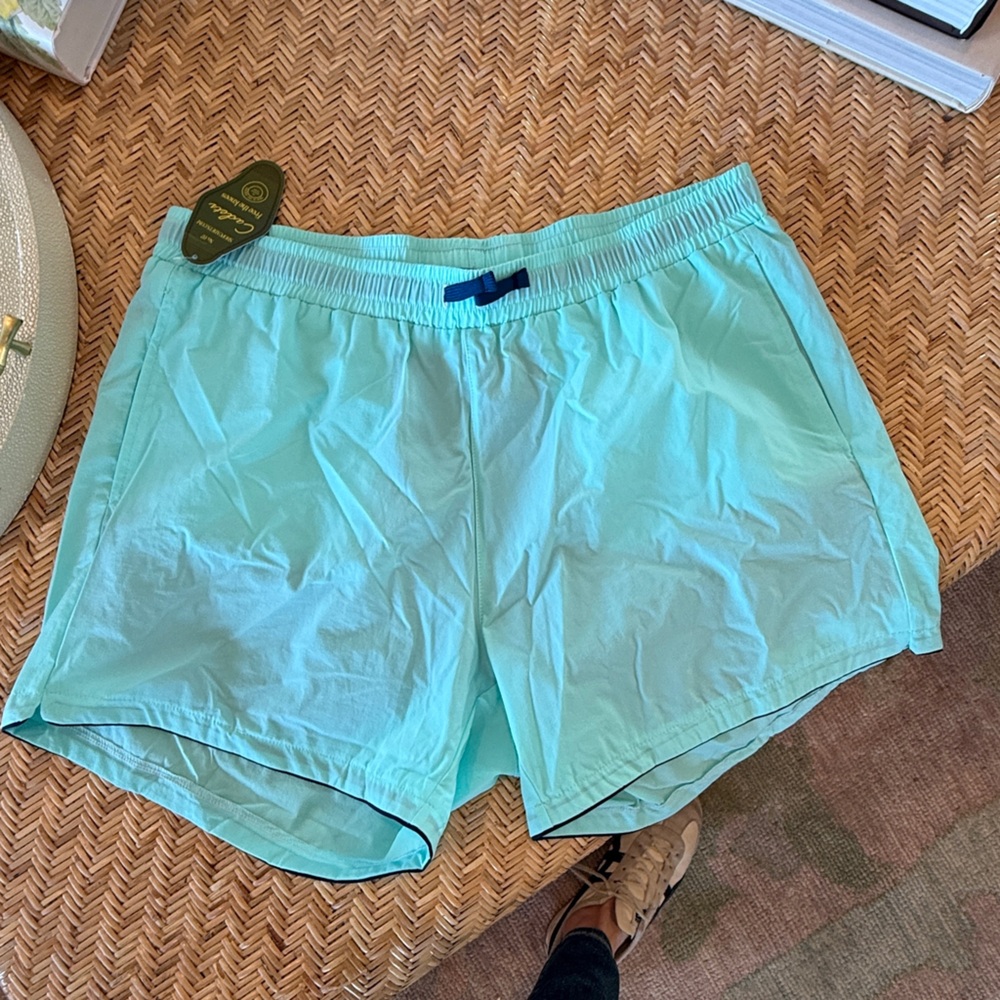 Mint Green Men's Swim Trunks